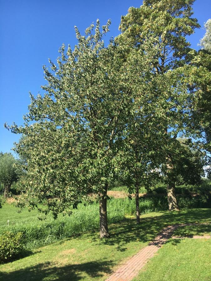 Ruim Appartement In Prachtige Fiets-Wandelomgeving Abcoude Eksteriør bilde